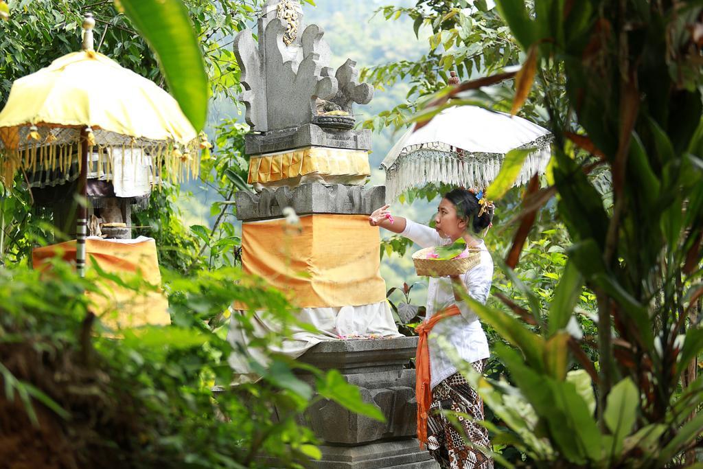 Sang Giri Mountain Tent Resort By Ahm Jatiluwih Buitenkant foto