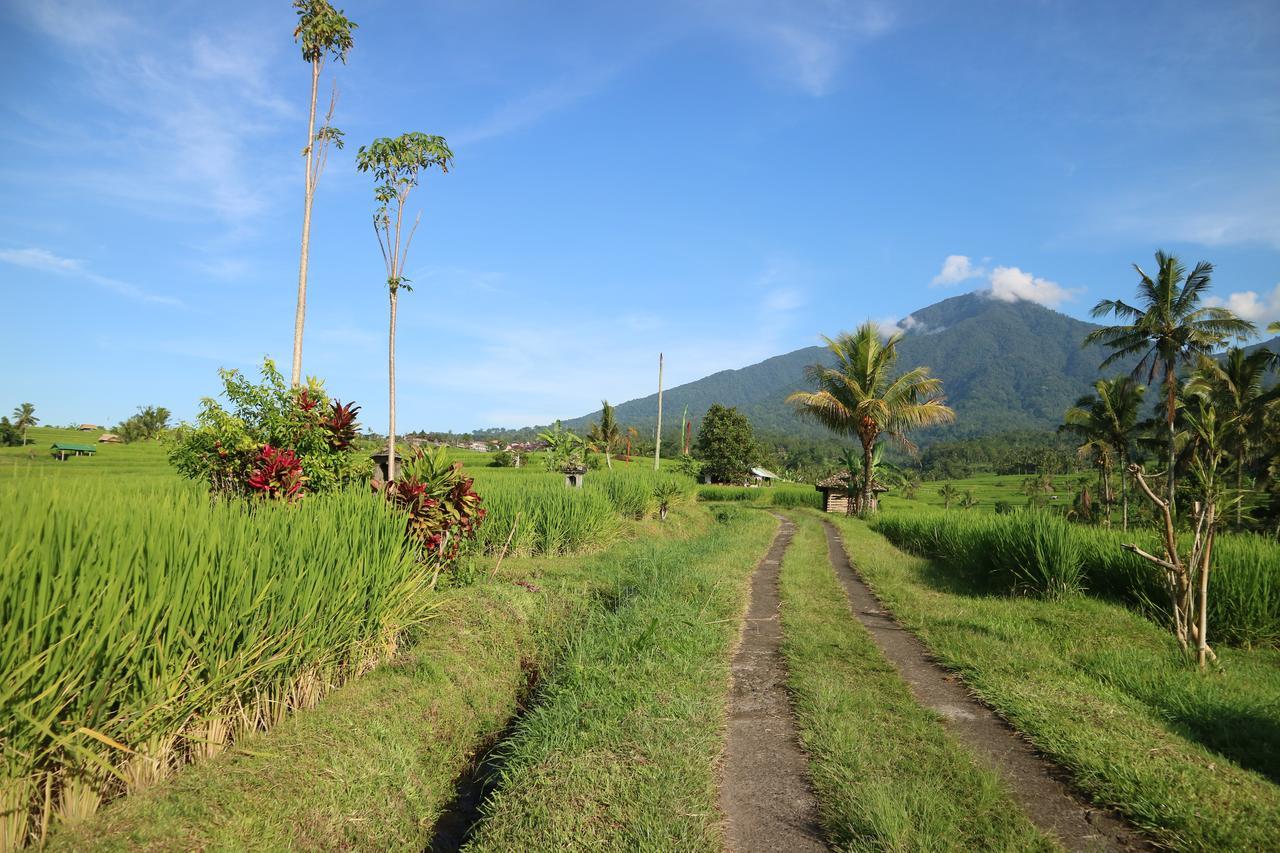 Sang Giri Mountain Tent Resort By Ahm Jatiluwih Buitenkant foto