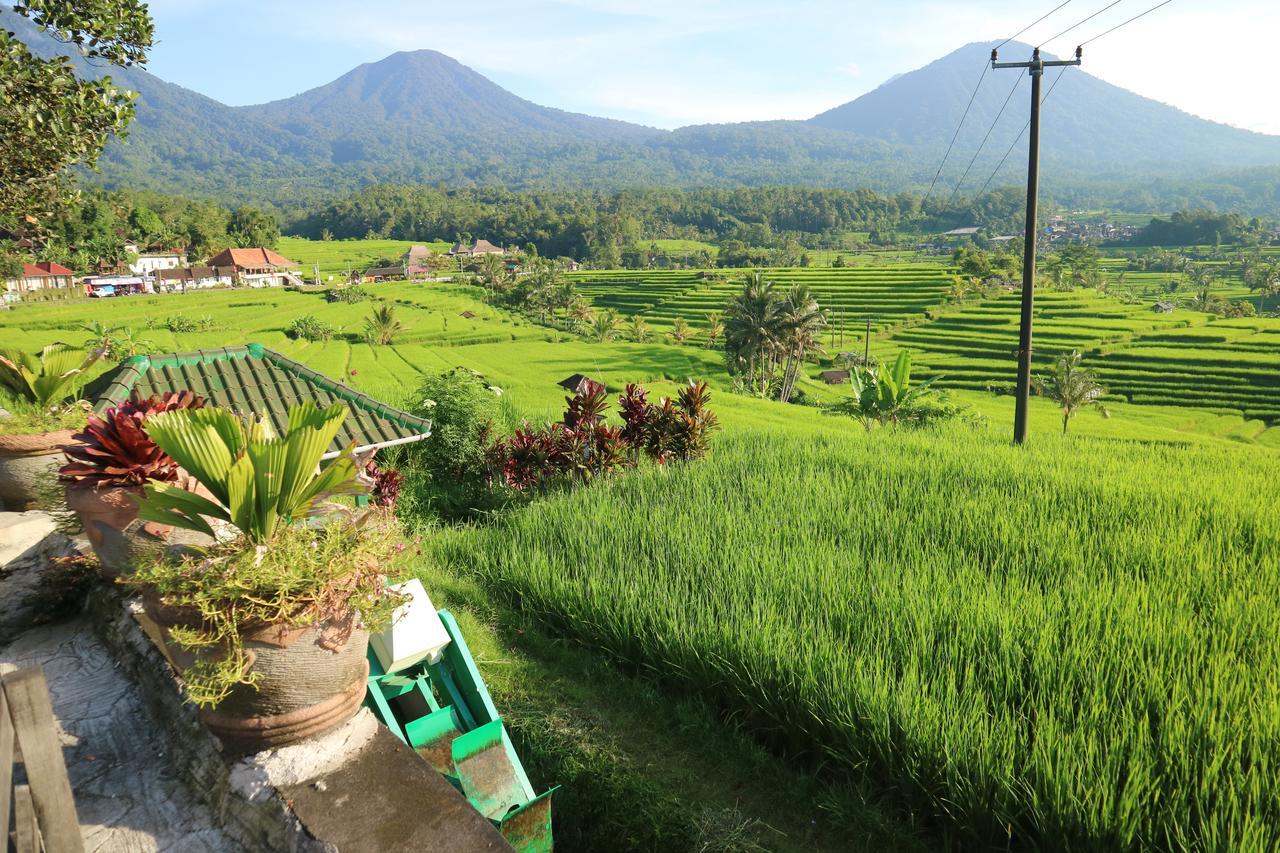 Sang Giri Mountain Tent Resort By Ahm Jatiluwih Buitenkant foto