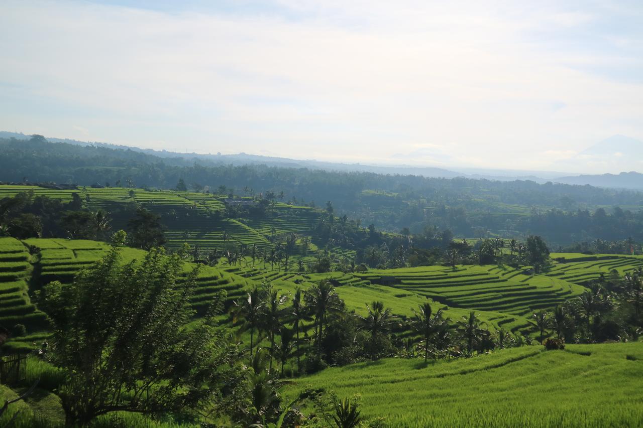 Sang Giri Mountain Tent Resort By Ahm Jatiluwih Buitenkant foto