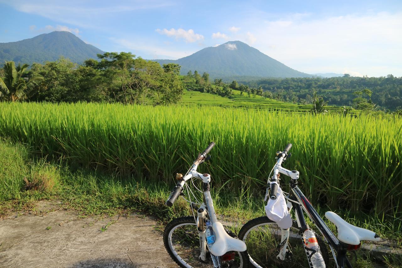 Sang Giri Mountain Tent Resort By Ahm Jatiluwih Buitenkant foto